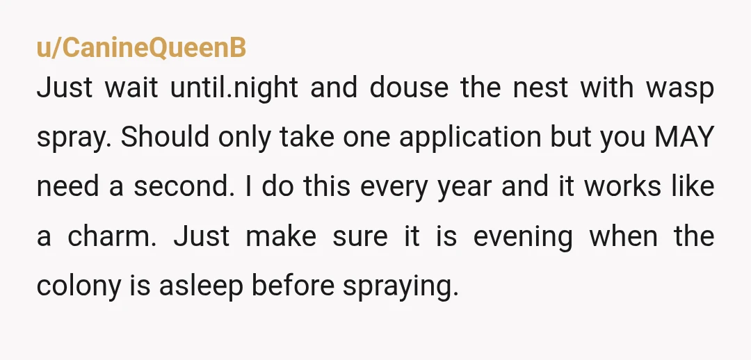 u/CanineQueenB Just wait until.night and douse the nest with wasp spray. Should only take one application but you MAY need a second. I do this every year and it works...
