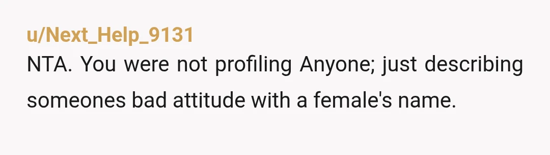u/Next_Help_9131
NTA. You were not profiling Anyone; just describing someones bad attitude with a female's name.