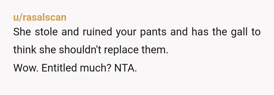 u/rasalscan
She stole and ruined your pants and has the gall to think she shouldn't replace them.
Wow. Entitled much? NTA.