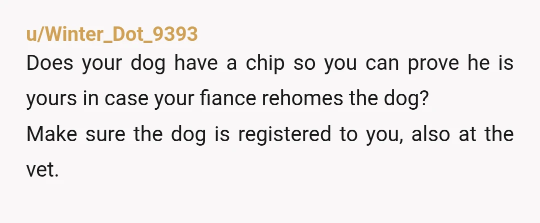 u/Winter_Dot_9393 Does your dog have a chip so you can prove he is yours in case your fiance rehomes the dog? Make sure the dog is registered to you, also...