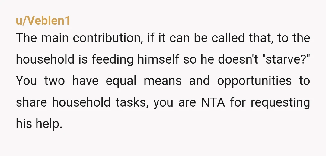 u/readergirl35 NTA! You told him that his total lack of help was stressful for you and he responded by saying that being asked to be responsible for literally anything about...