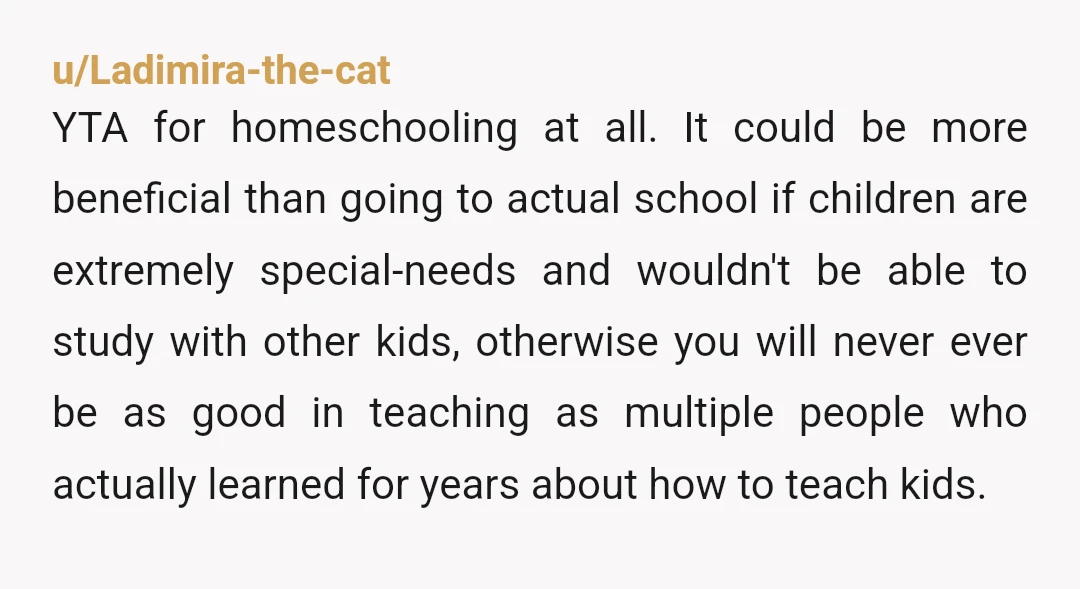 u/Ladimira-the-cat YTA for homeschooling at all. It could be more beneficial than going to actual school if children are extremely special-needs and wouldn't be able to study with other kids,...