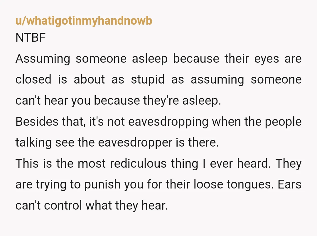 u/foxxplant NTBF - its not like, the kindest to pretend to sleep but if talking about another person while they sleep in the same room, you accept that as a...