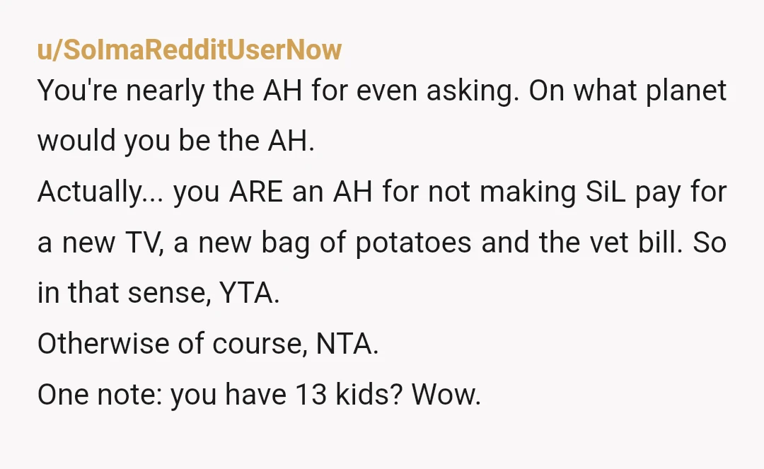 u/SoImaRedditUserNow You're nearly the AH for even asking. On what planet would you be the AH. Actually... you ARE an AH for not making SiL pay for a new TV,...