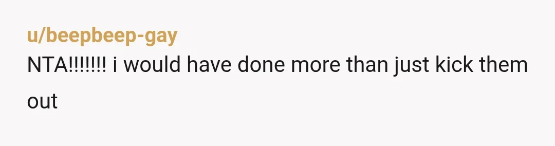 u/beepbeep-gay
NTA!!!!!!! i would have done more than just kick them out