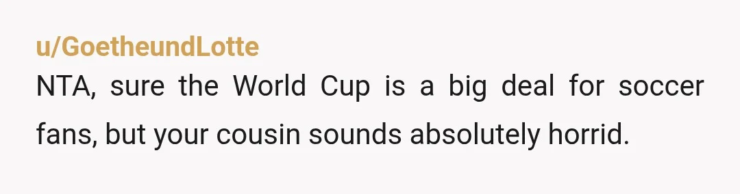 u/GoetheundLotte
NTA, sure the World Cup is a big deal for soccer fans, but your cousin sounds absolutely horrid.