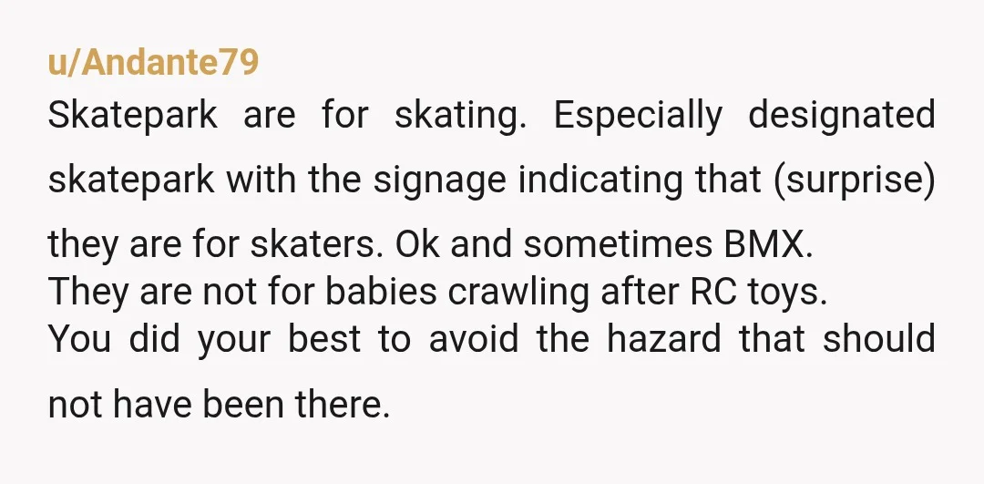 u/Andante79 Skatepark are for skating. Especially designated skatepark with the signage indicating that (surprise) they are for skaters. Ok and sometimes BMX. They are not for babies crawling after RC...