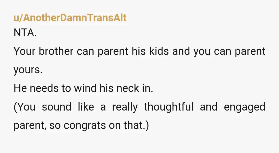 u/AnotherDamnTransAlt NTA. Your brother can parent his kids and you can parent yours. He needs to wind his neck in. (You sound like a really thoughtful and engaged parent, so...