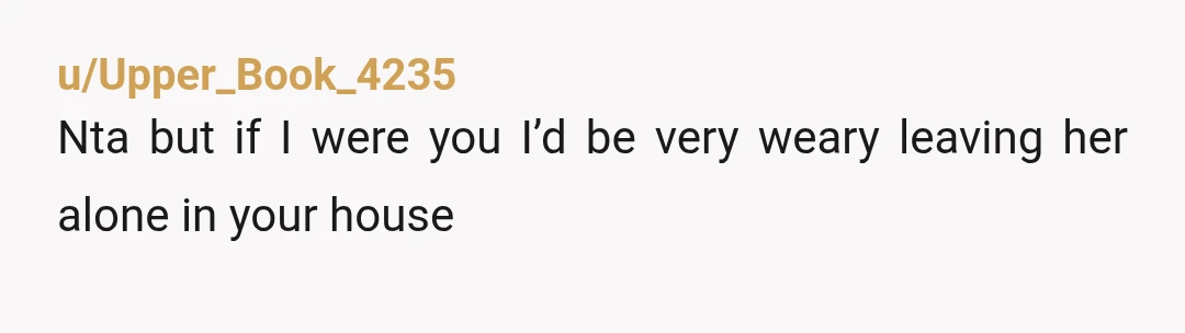 u/Upper_Book_4235
Nta but if I were you I’d be very weary leaving her alone in your house