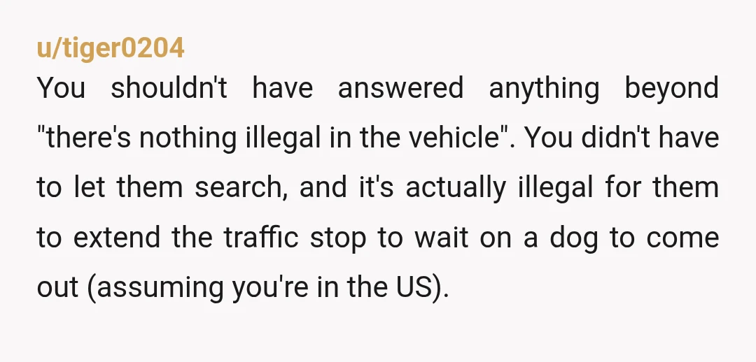 u/pottersquash YTA. Cop was just fishing. He likely had already ran your plate, likely saw your registration and ID. He was trying to get you on not physically having proof...