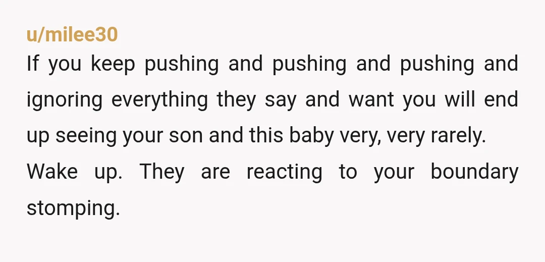 u/milee30 If you keep pushing and pushing and pushing and ignoring everything they say and want you will end up seeing your son and this baby very, very rarely. Wake...