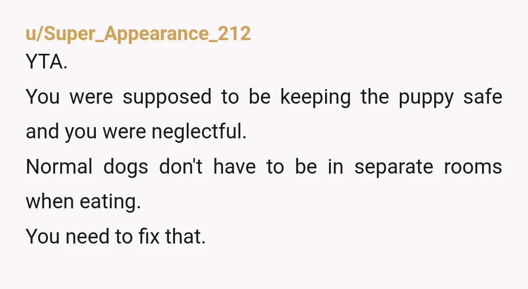 u/iriscountrysidelife
YTA, I read your reply and it were pills for YOUR dog.