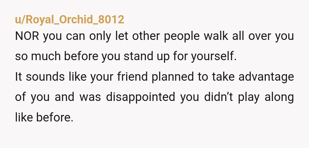 u/Royal_Orchid_8012 NOR you can only let other people walk all over you so much before you stand up for yourself. It sounds like your friend planned to take advantage of...