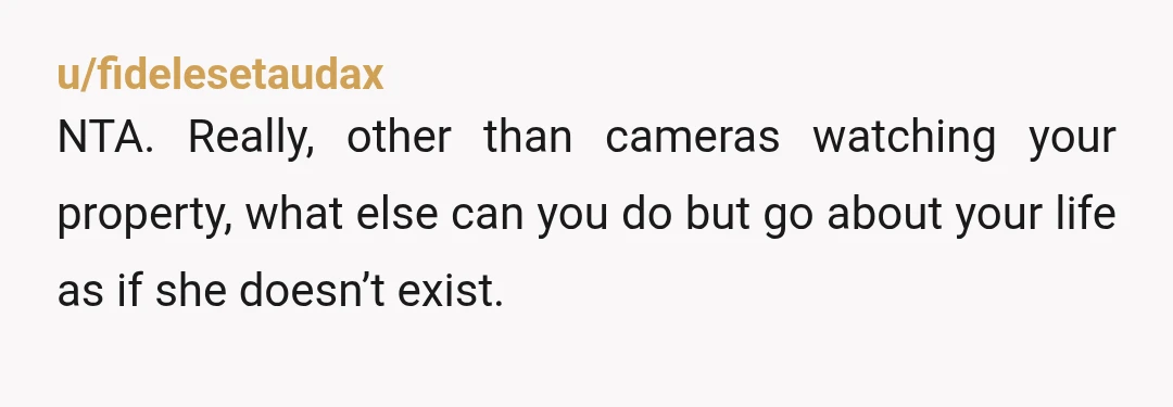 u/fidelesetaudax
NTA. Really, other than cameras watching your property, what else can you do but go about your life as if she doesn’t exist.