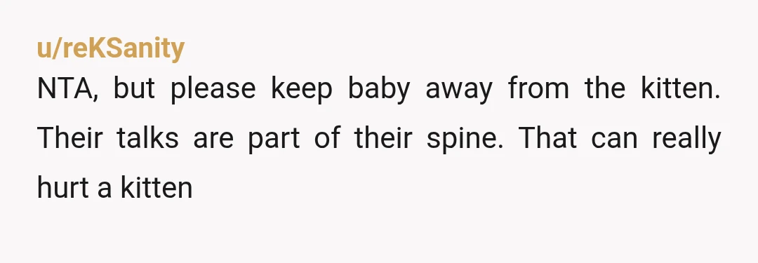 u/xj2608 ESH - you have a duty to monitor your pet to make sure it doesn't harm anyone...especially a baby who has not learned better yet. Your sister and her...
