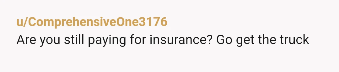 u/ComprehensiveOne3176
Are you still paying for insurance? Go get the truck