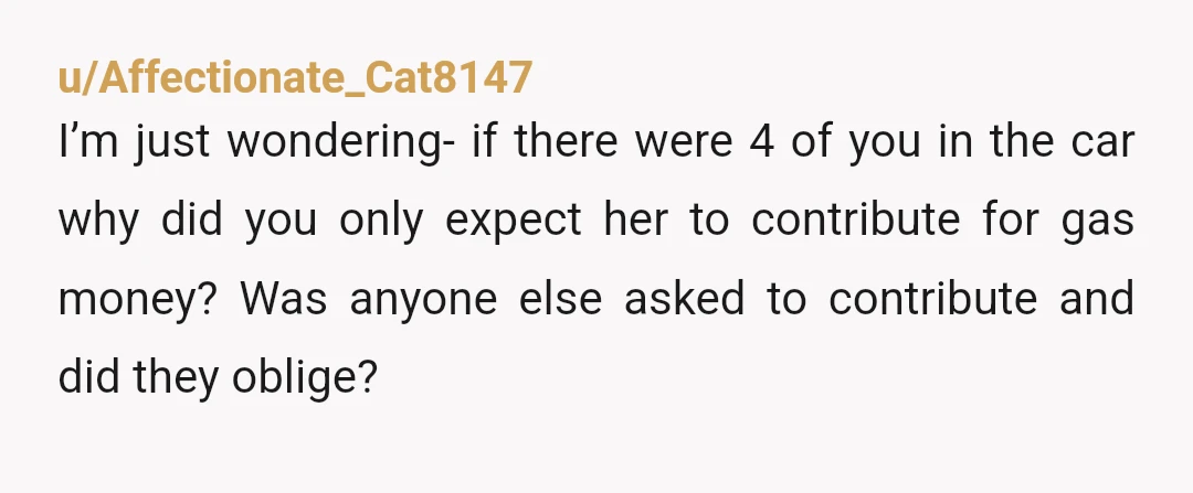 u/Affectionate_Cat8147 I’m just wondering- if there were 4 of you in the car why did you only expect her to contribute for gas money? Was anyone else asked to contribute...