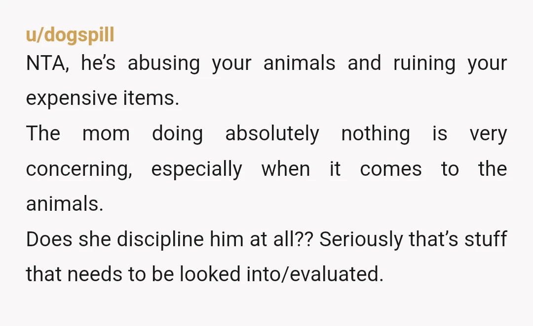 u/dogspill NTA, he’s abusing your animals and ruining your expensive items. The mom doing absolutely nothing is very concerning, especially when it comes to the animals. Does she discipline him...