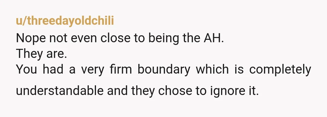 u/threedayoldchili
Nope not even close to being the AH.
They are.
You had a very firm boundary which is completely understandable and they chose to ignore it.