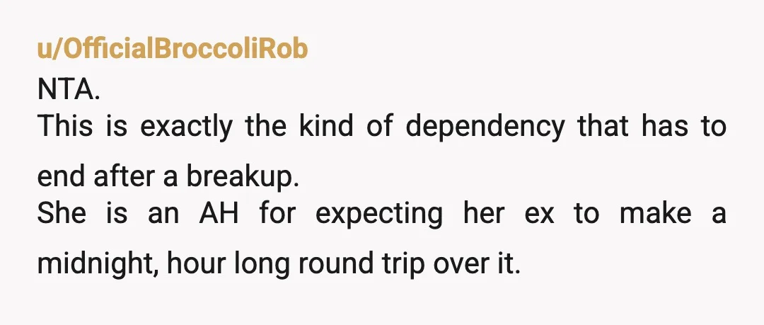 u/OfficialBroccoliRob NTA. This is exactly the kind of dependency that has to end after a breakup. She is an AH for expecting her ex to make a midnight, hour long...