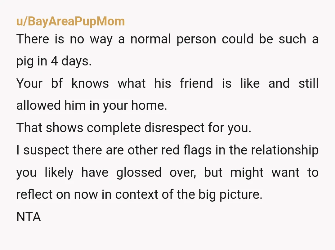 u/BayAreaPupMom There is no way a normal person could be such a pig in 4 days. Your bf knows what his friend is like and still allowed him in your...