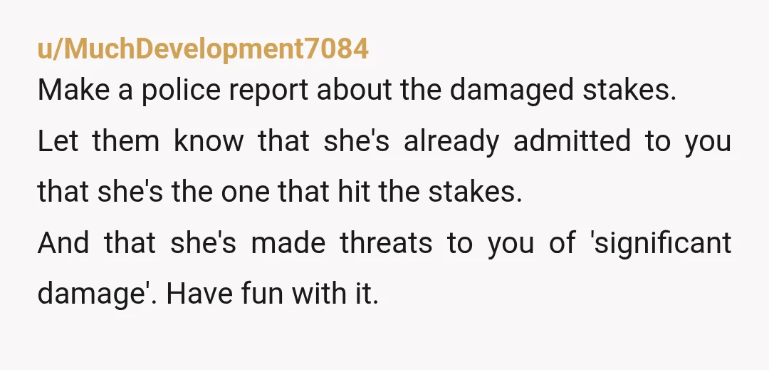 u/MuchDevelopment7084 Make a police report about the damaged stakes. Let them know that she's already admitted to you that she's the one that hit the stakes. And that she's made...