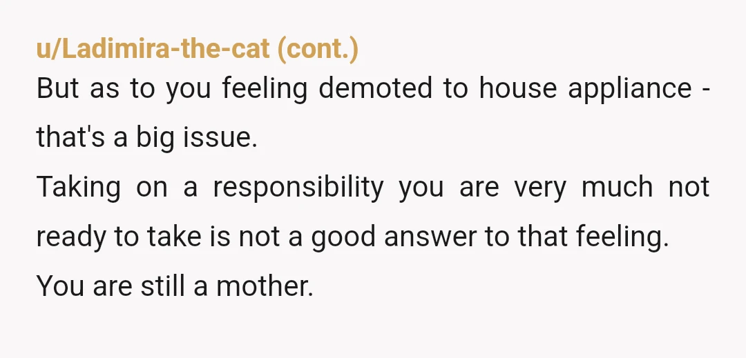 u/MoxieOHara YTA - this is very weird. First of all, there is nothing wrong with the kids having two teachers. They won’t get confused, as you seem to think. Secondly,...