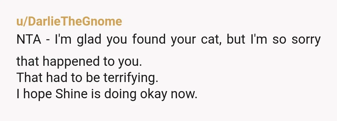 u/DarlieTheGnome
NTA - I'm glad you found your cat, but I'm so sorry that happened to you.
That had to be terrifying.
I hope Shine is doing okay now.