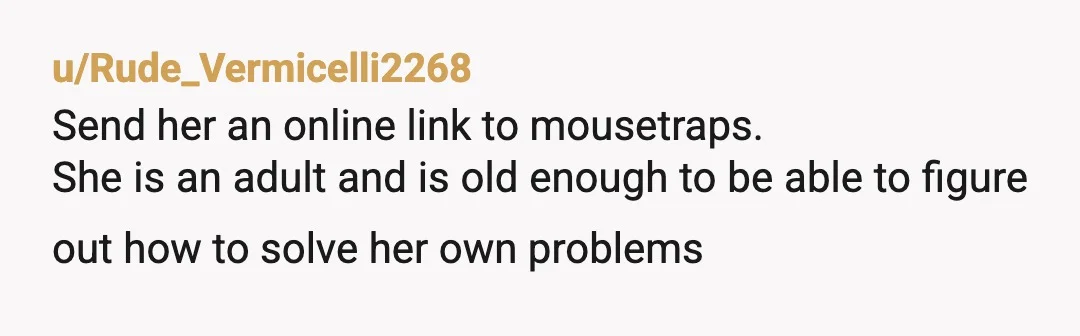 u/Rude_Vermicelli2268
Send her an online link to mousetraps.
She is an adult and is old enough to be able to figure out how to solve her own problems
