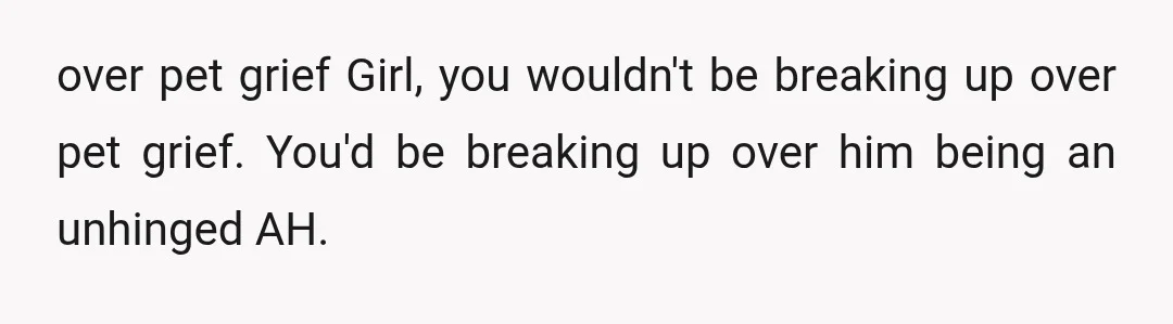 over pet grief Girl, you wouldn't be breaking up over pet grief. You'd be breaking up over him being an unhinged AH.