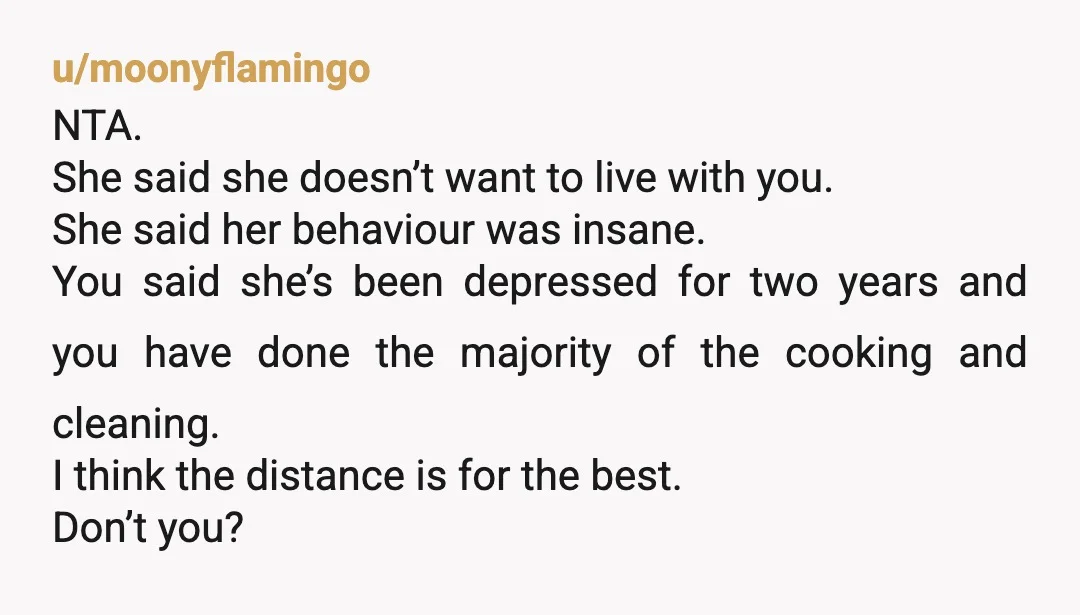 u/moonyflamingo NTA. She said she doesn’t want to live with you. She said her behaviour was insane. You said she’s been depressed for two years and you have done the...