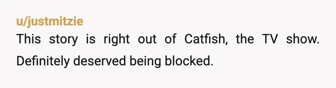 u/justmitzie
This story is right out of Catfish, the TV show. Definitely deserved being blocked.