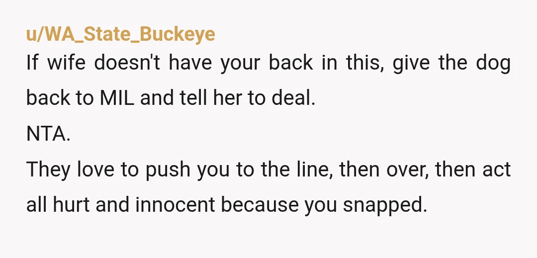u/brewcatz You need to have a serious conversation with your wife that either she gets on board with you and consistently, in the moment corrects her mother when it comes...