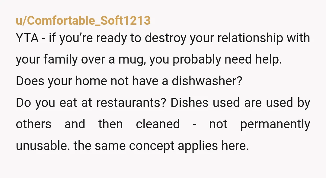 u/Comfortable_Soft1213 YTA - if you’re ready to destroy your relationship with your family over a mug, you probably need help. Does your home not have a dishwasher? Do you eat...