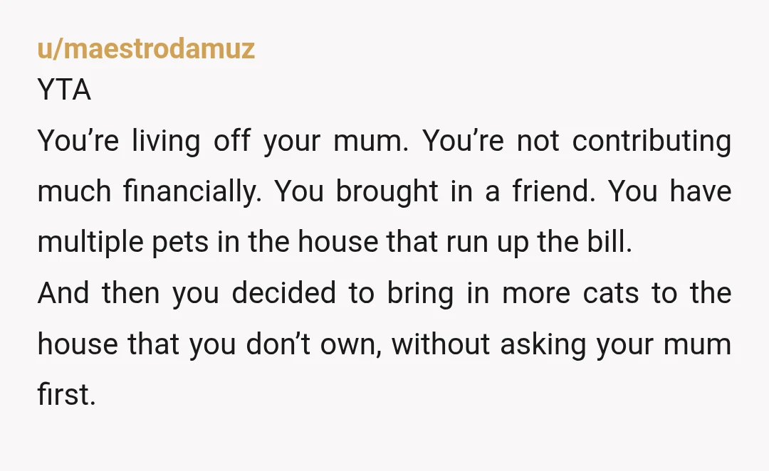 u/Ill_Ad7448 YTA. You live in her house. You are 19. She didn't want the cats and it's not like she threw them in a river they are in a loving...