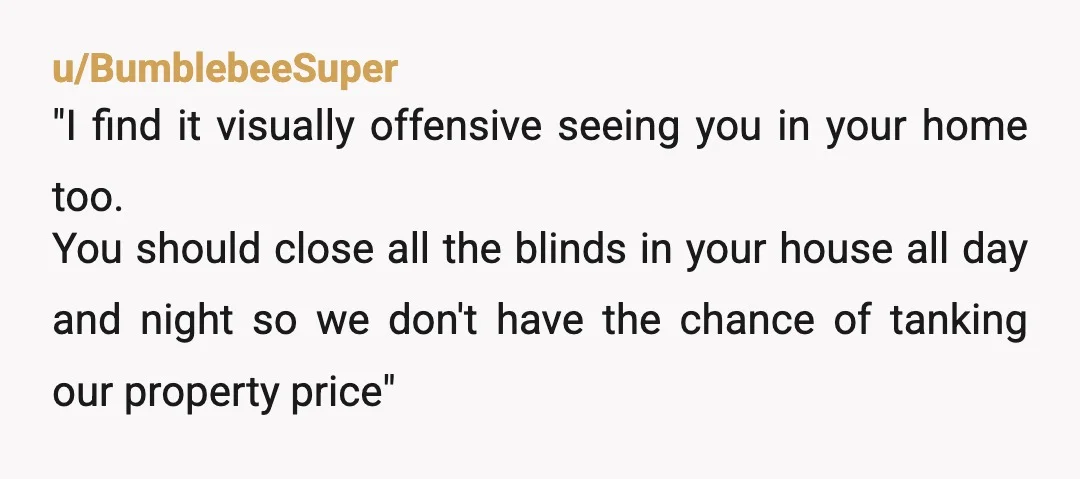 u/BumblebeeSuper "I find it visually offensive seeing you in your home too. You should close all the blinds in your house all day and night so we don't have the...