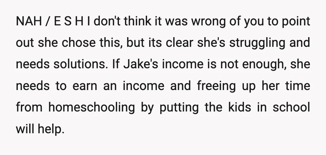 NAH / E S H  I don't think it was wrong of you to point out she chose this, but its clear she's struggling and needs solutions.   If Jake's...