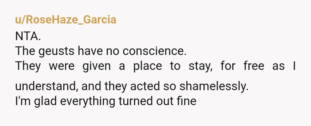 u/RoseHaze_Garcia
NTA.
The geusts have no conscience.
They were given a place to stay, for free as I understand, and they acted so shamelessly.
I'm glad everything turned out fine