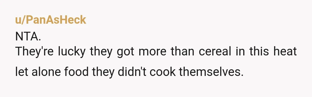 u/PanAsHeck
NTA.
They're lucky they got more than cereal in this heat let alone food they didn't cook themselves.