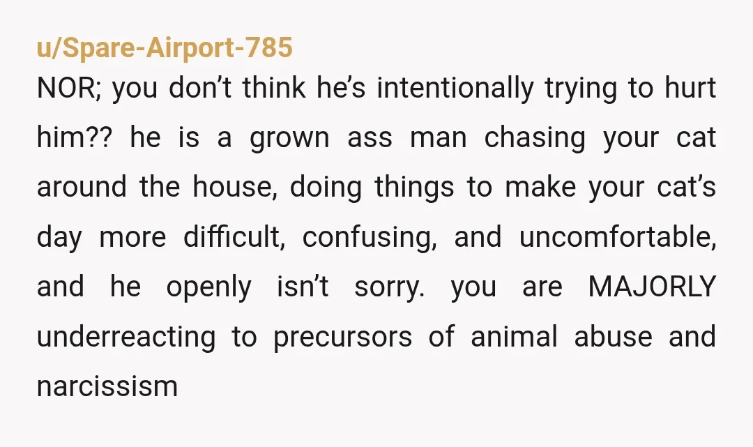 u/Spare-Airport-785 NOR; you don’t think he’s intentionally trying to hurt him?? he is a grown ass man chasing your cat around the house, doing things to make your cat’s day...