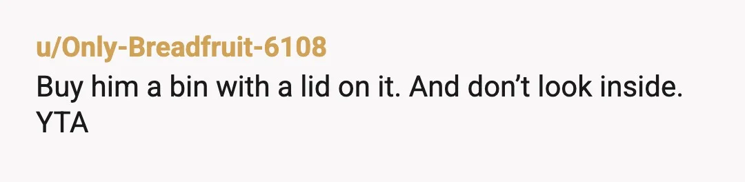 u/Only-Breadfruit-6108
Buy him a bin with a lid on it. And don’t look inside.
YTA