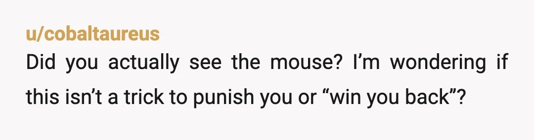 u/cobaltaureus
Did you actually see the mouse? I’m wondering if this isn’t a trick to punish you or “win you back”?