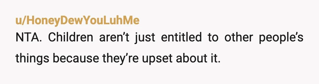 u/HoneyDewYouLuhMe
NTA. Children aren’t just entitled to other people’s things because they’re upset about it.