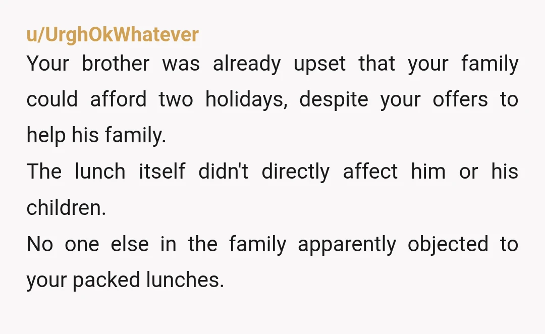 u/UrghOkWhatever Your brother was already upset that your family could afford two holidays, despite your offers to help his family. The lunch itself didn't directly affect him or his children....