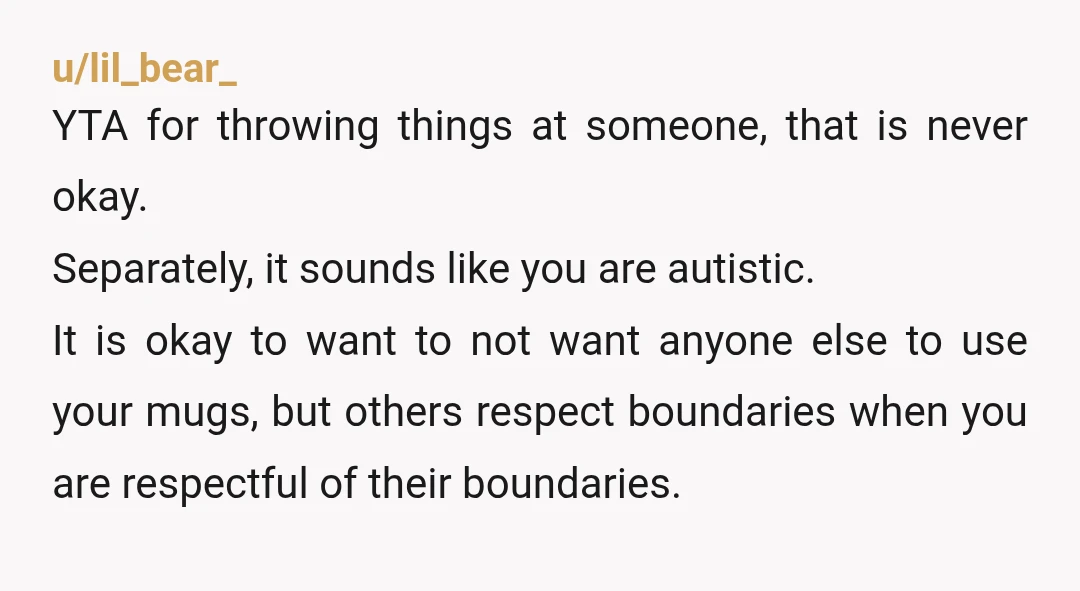 u/lil_bear_ YTA for throwing things at someone, that is never okay. Separately, it sounds like you are autistic. It is okay to want to not want anyone else to use...