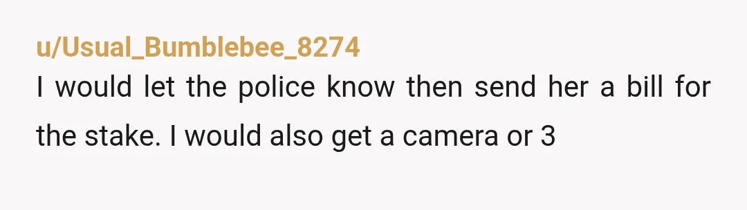 u/Usual_Bumblebee_8274
I would let the police know then send her a bill for the stake. I would also get a camera or 3
