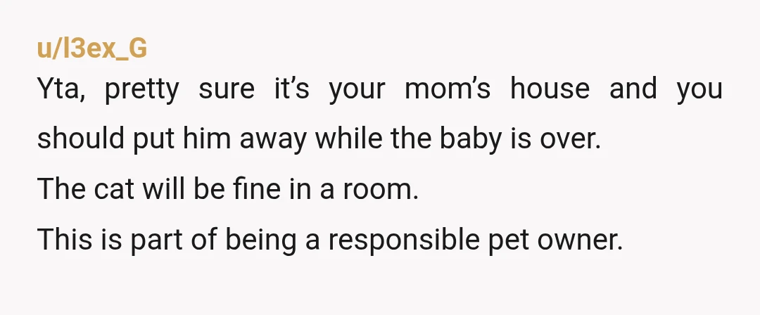 u/Content_Print_6521 Nobody should ever let a baby pull a cat's tail or their fur or try to mangle the cat or pick it up. ALL of you adults are idiots....