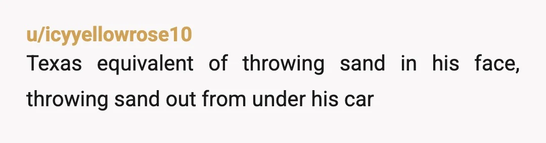 u/icyyellowrose10
Texas equivalent of throwing sand in his face, throwing sand out from under his car
