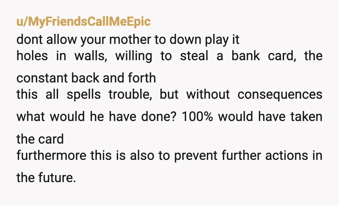 u/MyFriendsCallMeEpic dont allow your mother to down play it holes in walls, willing to steal a bank card, the constant back and forth this all spells trouble, but without consequences...