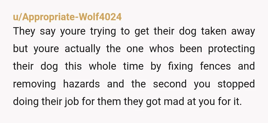 u/Appropriate-Wolf4024 They say youre trying to get their dog taken away but youre actually the one whos been protecting their dog this whole time by fixing fences and removing hazards...